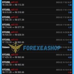 XIMpda Seven Bitcoin Reviews4