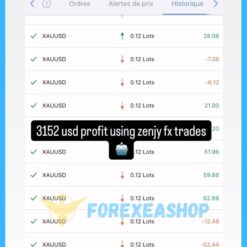 Zenjy FX Propfirm EA Reviews1