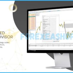 Currency Pros EA Reviews2