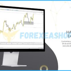 Currency Pros EA Reviews3