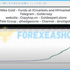 Alternative view of NIke Gold EA MT5