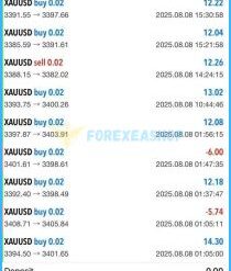 Saviour Gold Trading EA Reviews1