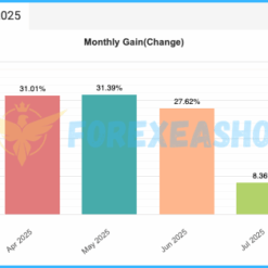Volume Scalper EA Reviews2