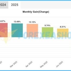 XTrader Pro Gold Reviews3