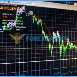 Gold Killer EA Results1