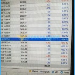 Gold Killer EA Results2