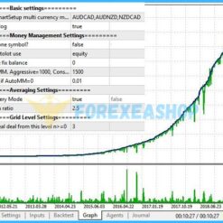 NorthEastWay MT5 Backtest1