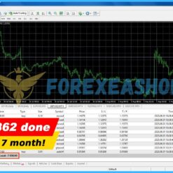 Pips Sure EA Reviews2