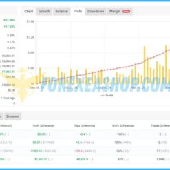 Beat The Market EA Reviews1