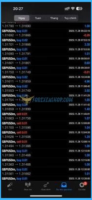 Profesional EA Results3