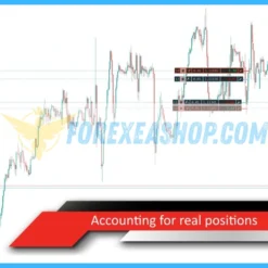 VR Calculate Martingale Review6