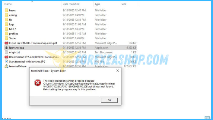 Not Start Laucher.exe