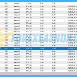 Ryukai Scalper MT4 Results1