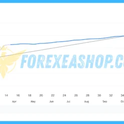Vortex Gold MT4 Reviews2