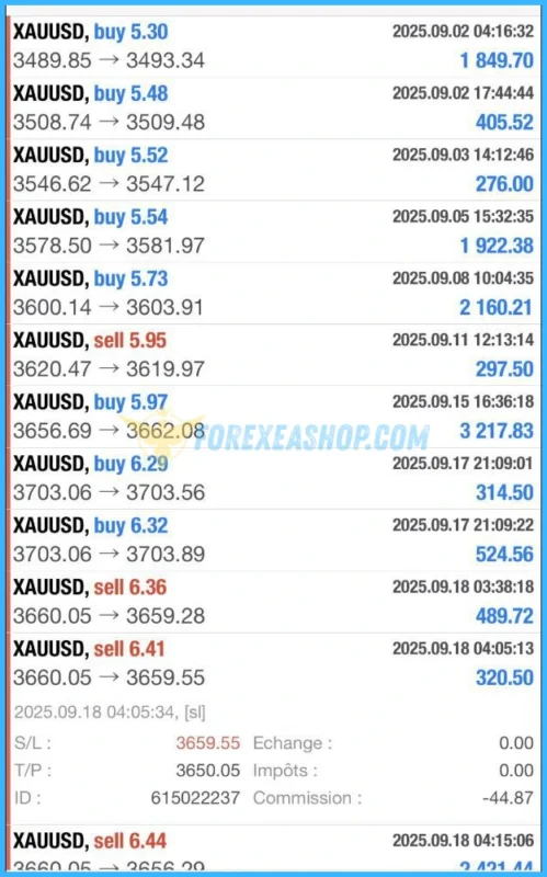 Chinese EA Scalping Reviews