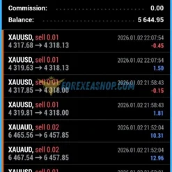 BTX SCALPER PRO Reviews2