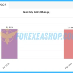 Black Max Scalper Reviews2