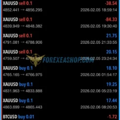 Alpha Striker F1 Results1