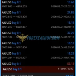 Alpha Striker F1 Results2