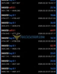 Alpha Striker F1 Results3