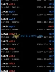 Alpha Striker F1 Results4