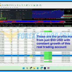 BARYONYX Robot Trading Reviews