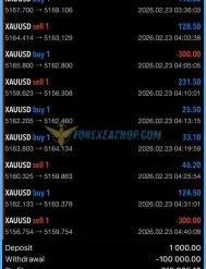 Expert Yuvi Fx Trader Results1