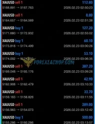 Expert Yuvi Fx Trader Results2