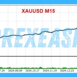 Gann Gold EA MT4 Backtesting1