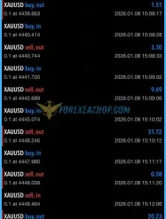 Gold Hunter EA Reviews2