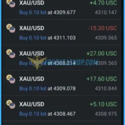 Highly Profitable Gold Scalper Reviews