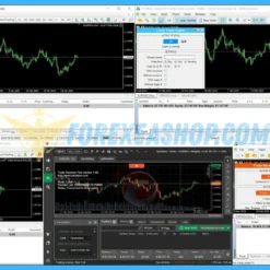 Local Trade Copier Reviews