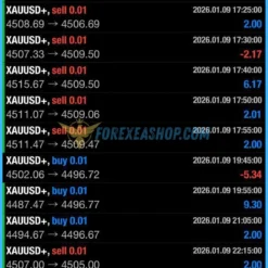 MFXT GOLD AI Results3