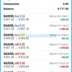 Real Scalp EA Reviews2