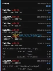 VIGRO PRO V5 EA Reviews1