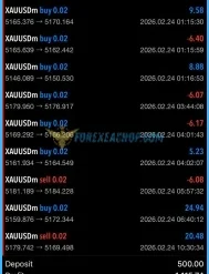 Veloz Scalping Bot Reviews1