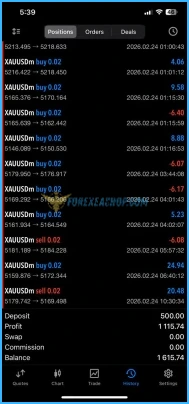 Veloz Scalping Bot Reviews1