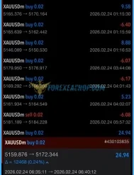 Veloz Scalping Bot Reviews2