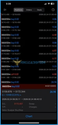 Veloz Scalping Bot Reviews2