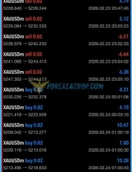 Veloz Scalping Bot Reviews3