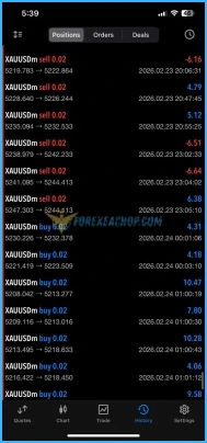 Veloz Scalping Bot Reviews3