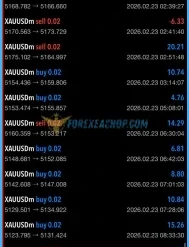 Veloz Scalping Bot Reviews4