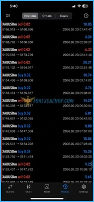 Veloz Scalping Bot Reviews4