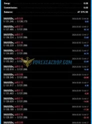 BTX VERSION EA Results1