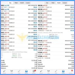 Pip Club Profit Max Pro EA Results2