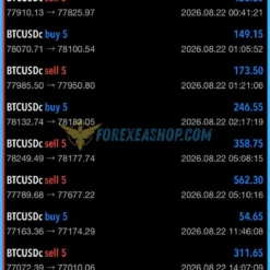Algo Scalper Gain EA Reviews1