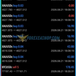 Algo Scalper Gain EA Reviews2