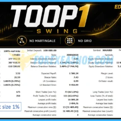 TOOP1 Swing MT5 Reviews2