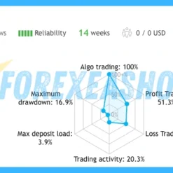 TOOP1 Swing MT5 Reviews4