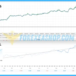Aura Gold Pro Edition Backtesting1